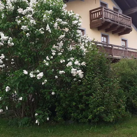 Zur Alten Post